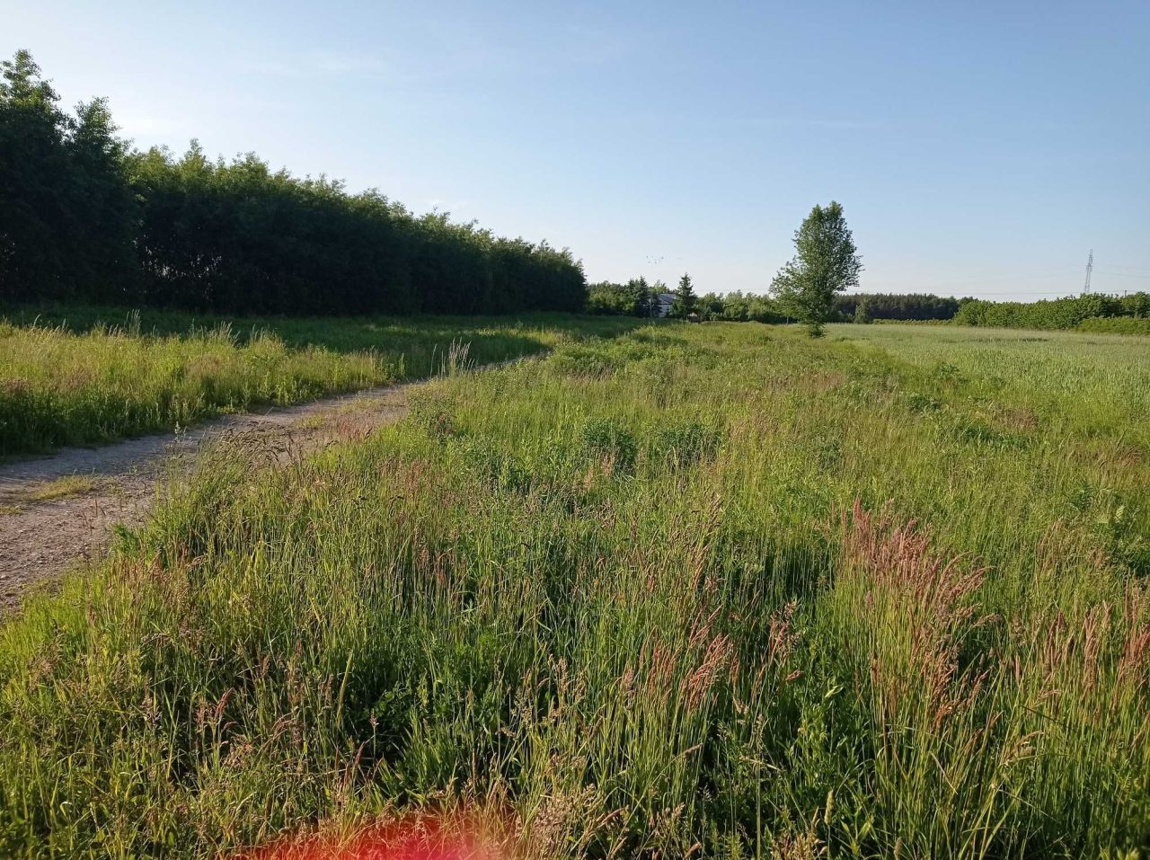 dom wolnostojący Suchodół. Zdjęcie 3