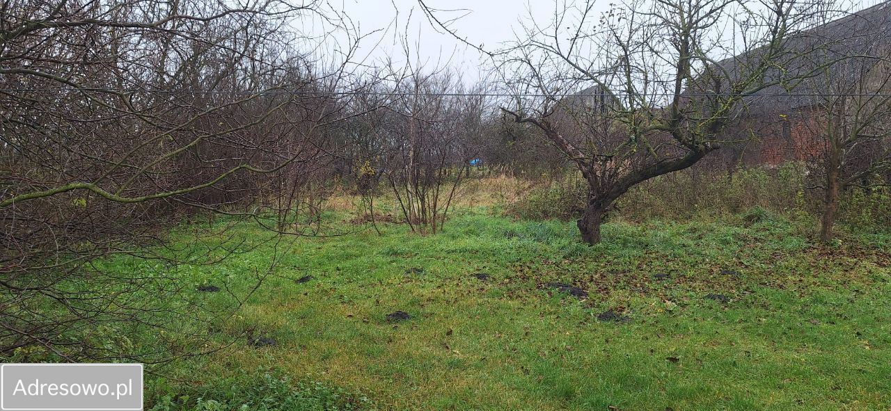 dom wolnostojący, 6 pokoi Skorzęcin. Zdjęcie 5