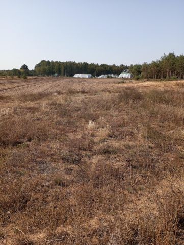 Działka rolno-budowlana Sojczyn Borowy. Zdjęcie 1