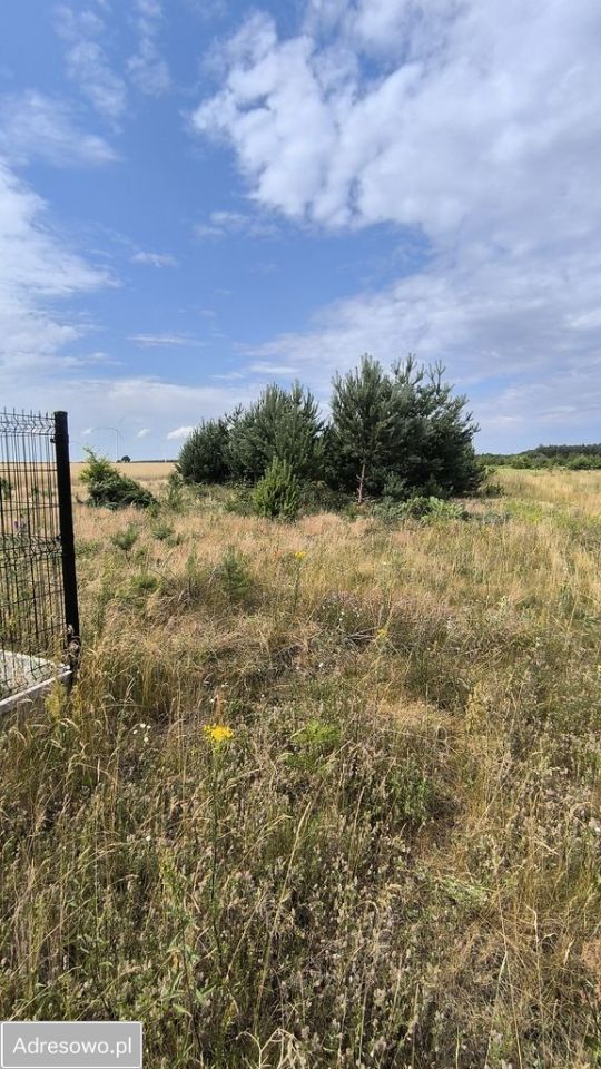 Działka rolno-budowlana Miękoszyn. Zdjęcie 6