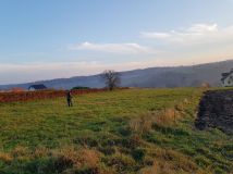Działka budowlana Bochnia, ul. Tadeusza Lecha