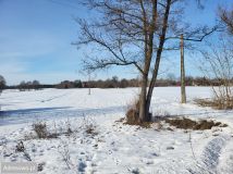 Działka rolna Chełsty. Zdjęcie 3