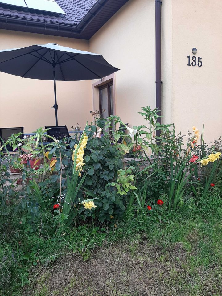 dom wolnostojący, 4 pokoje Krasne. Zdjęcie 7