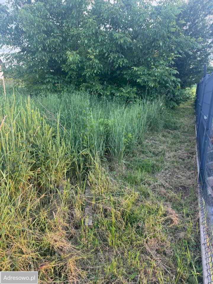 Działka budowlana Chorągwica. Zdjęcie 9