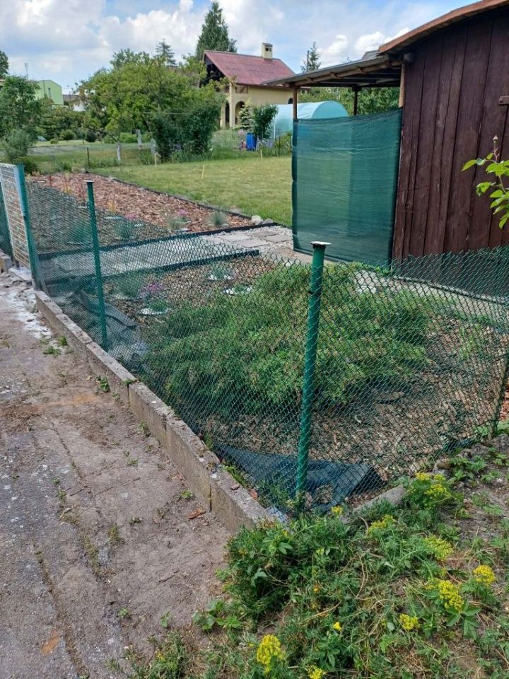 Działka rod Wąbrzeźno. Zdjęcie 3