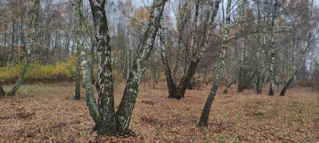 Działka budowlana Ludwików. Zdjęcie 1