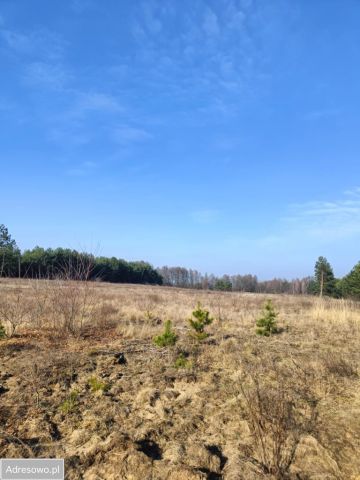 Działka rolno-budowlana Olszewnica Nowa, ul. Spacerowa. Zdjęcie 10