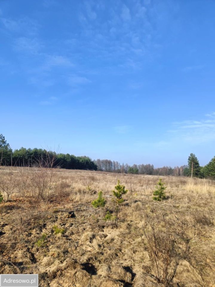 Działka rolna Olszewnica Nowa, ul. Spacerowa. Zdjęcie 2