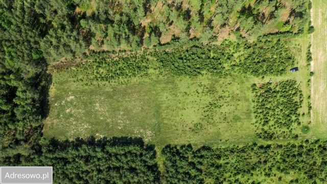 Działka siedliskowa Gostomko, ul. Cisowa. Zdjęcie 1