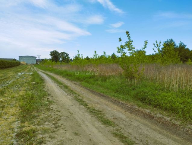 Działka budowlana Barcice Drwalewskie. Zdjęcie 5