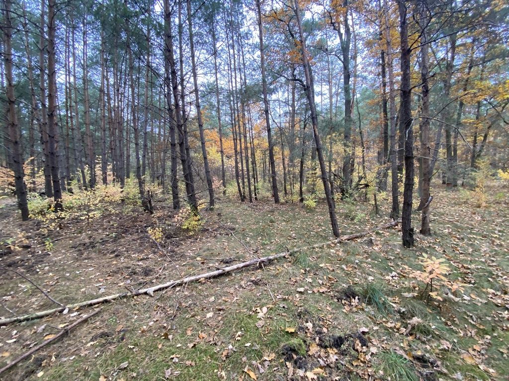 Działka leśna Warszawa Białołęka, ul. Insurekcji