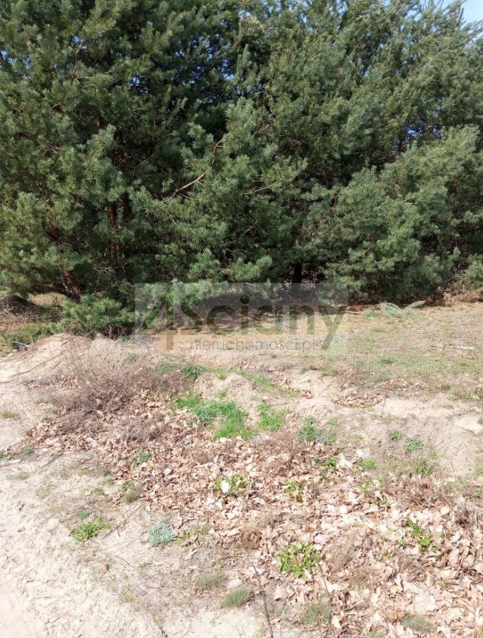 Działka budowlana Brok. Zdjęcie 3