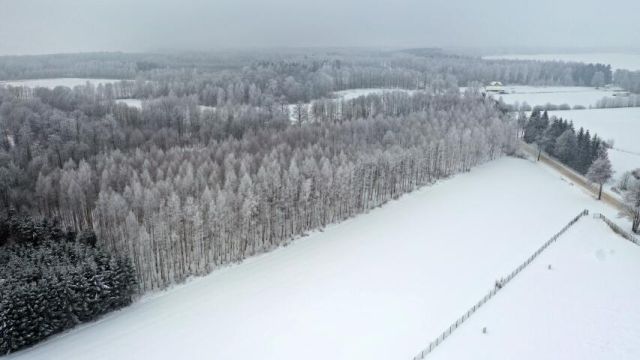 Działka leśna Harsz. Zdjęcie 9