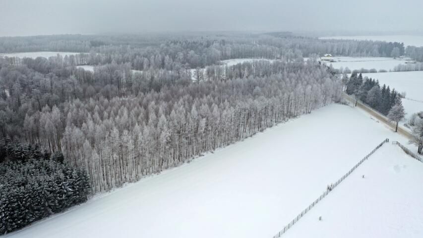 Działka leśna Harsz. Zdjęcie 9