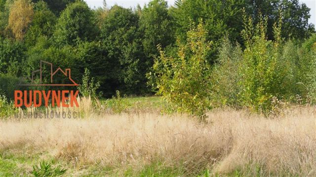 Działka rolna Karsino. Zdjęcie 13