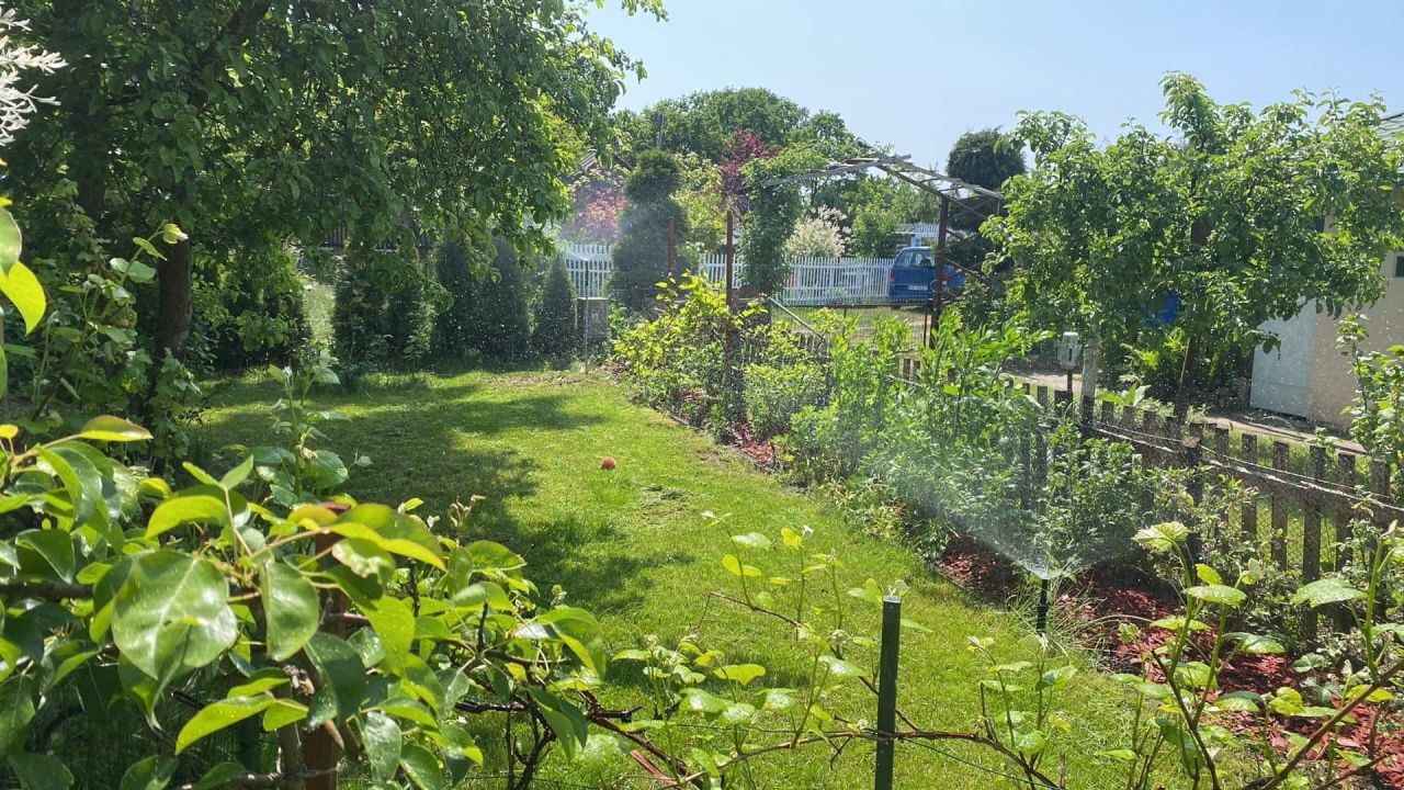 Działka rod Zielona Góra Jędrzychów, ul. Dożynkowa. Zdjęcie 4