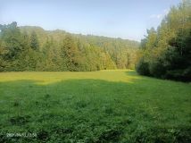 Działka rolna Piekiełko. Zdjęcie 4