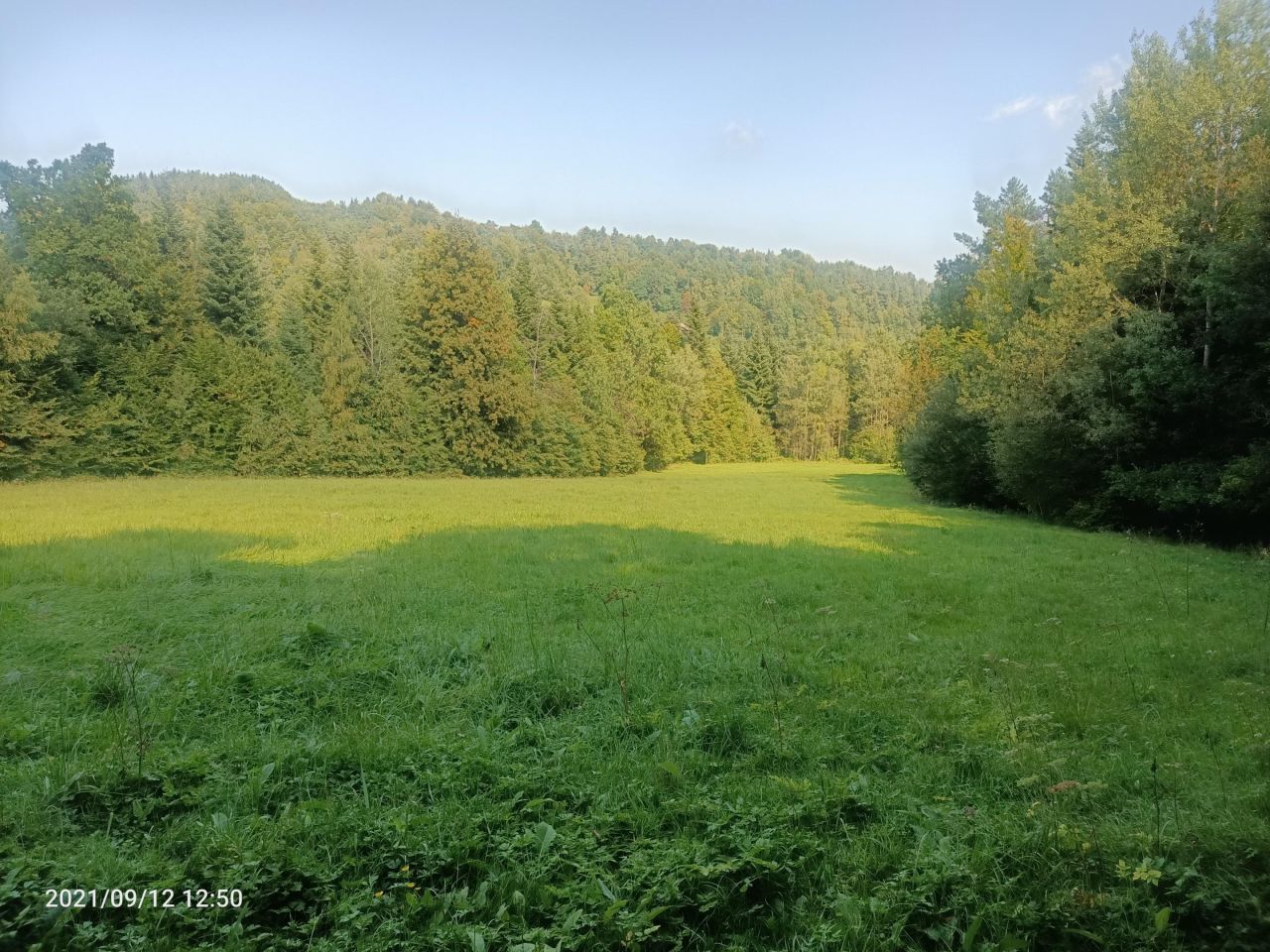 Działka rolna Piekiełko. Zdjęcie 5