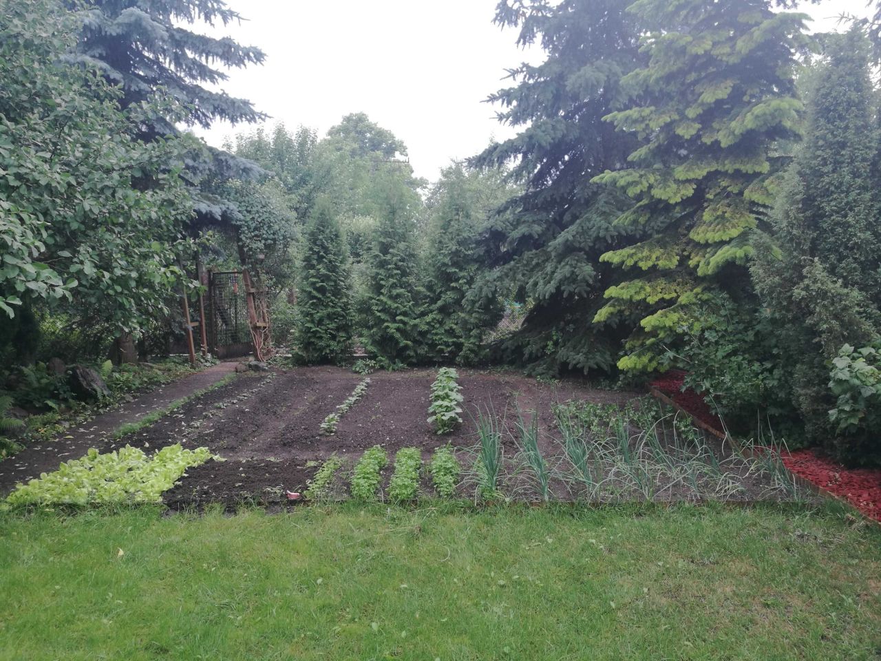 Działka rod Stargard, ul. Daleka. Zdjęcie 4