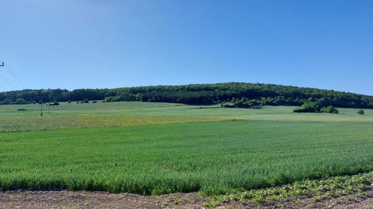 Działka budowlana Paszowice. Zdjęcie 2