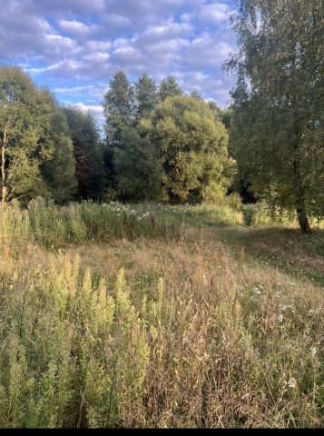 Działka siedliskowa Wierzbno. Zdjęcie 1