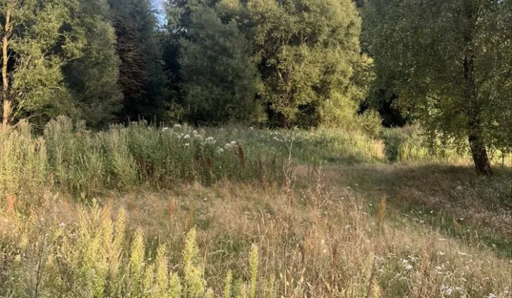 Działka siedliskowa Wierzbno