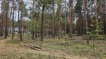 Działka budowlana Solec Kujawski, ul. Garbary. Zdjęcie 3