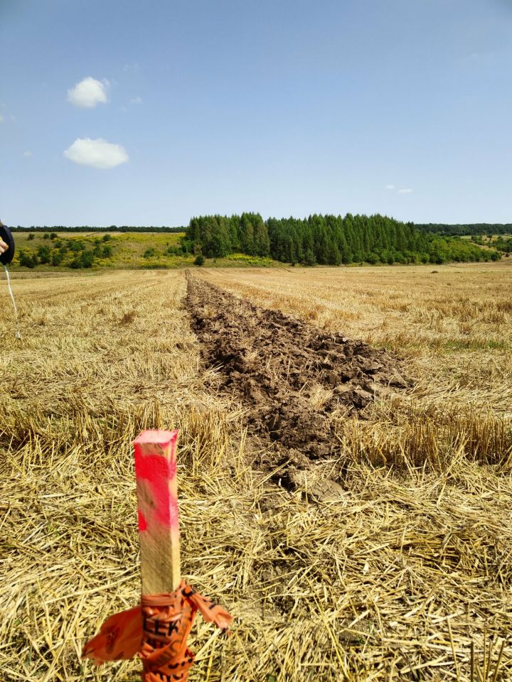Działka rolna Częstoszowice. Zdjęcie 2