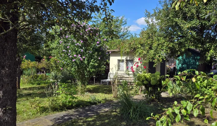 Działka rod Wrocław Śródmieście, ul. Odona Bujwida