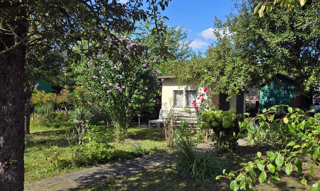 Działka rod Wrocław Śródmieście, ul. Odona Bujwida. Zdjęcie 1