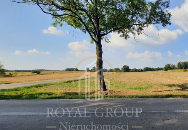 Działka rolna Rudno. Zdjęcie 6