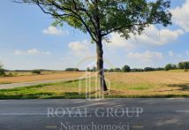 Działka rolna Rudno. Zdjęcie 4