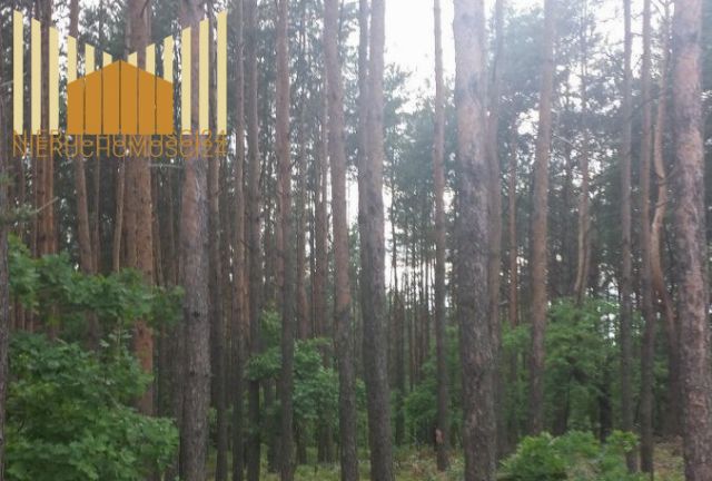 Działka budowlana Józefów. Zdjęcie 1