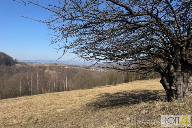 Działka budowlana Obłazy Ryterskie. Zdjęcie 9