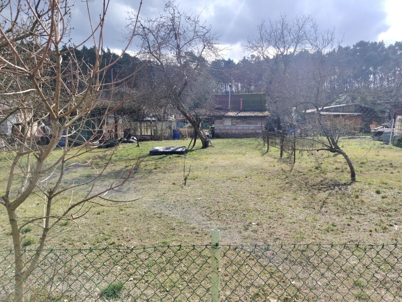 Działka rod Zielona Góra Centrum. Zdjęcie 5