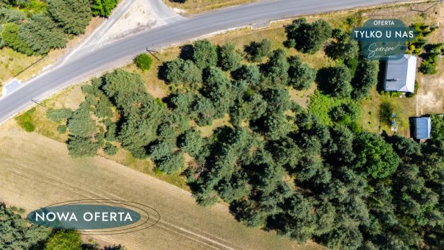 Działka rolna Gucin. Zdjęcie 9