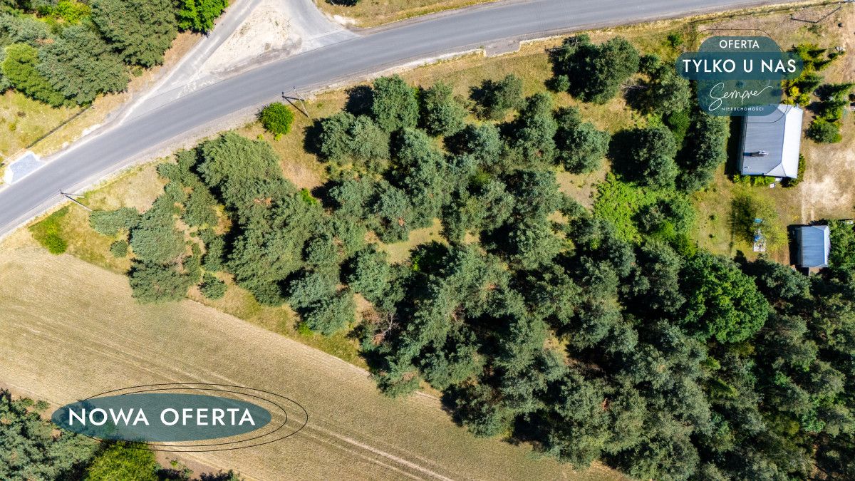 Działka rolna Gucin. Zdjęcie 9