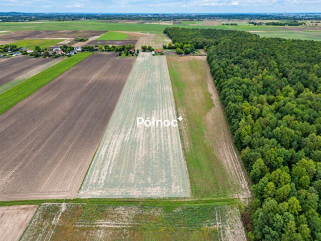 Działka Depułtycze Królewskie. Zdjęcie 3