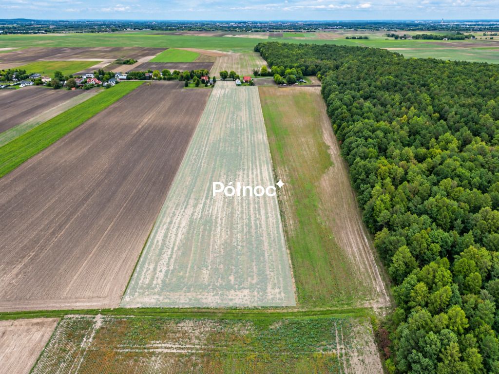 Działka Depułtycze Królewskie. Zdjęcie 3