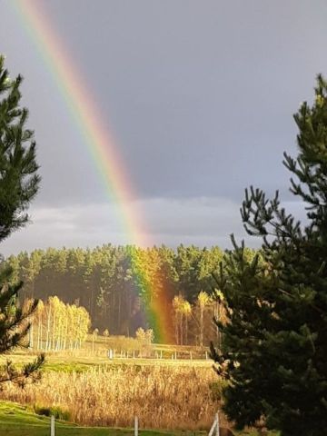 Działka budowlana Naryjski Młyn. Zdjęcie 2