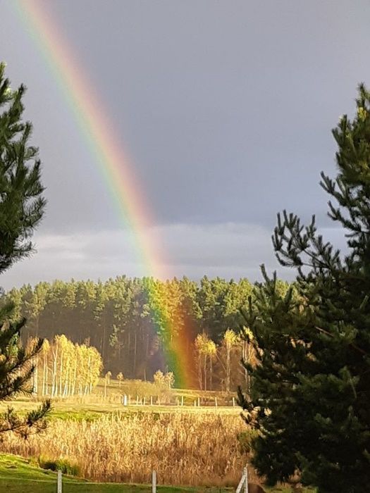 Działka budowlana Naryjski Młyn. Zdjęcie 2