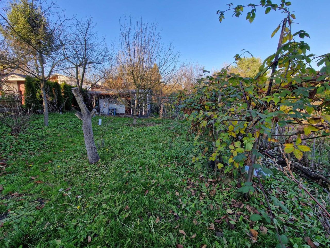 Działka rod Gliwice Sikornik. Zdjęcie 4