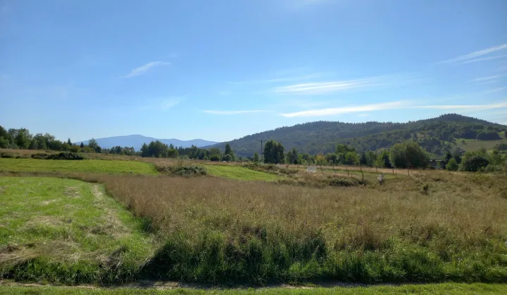 Działka budowlana Koszarawa