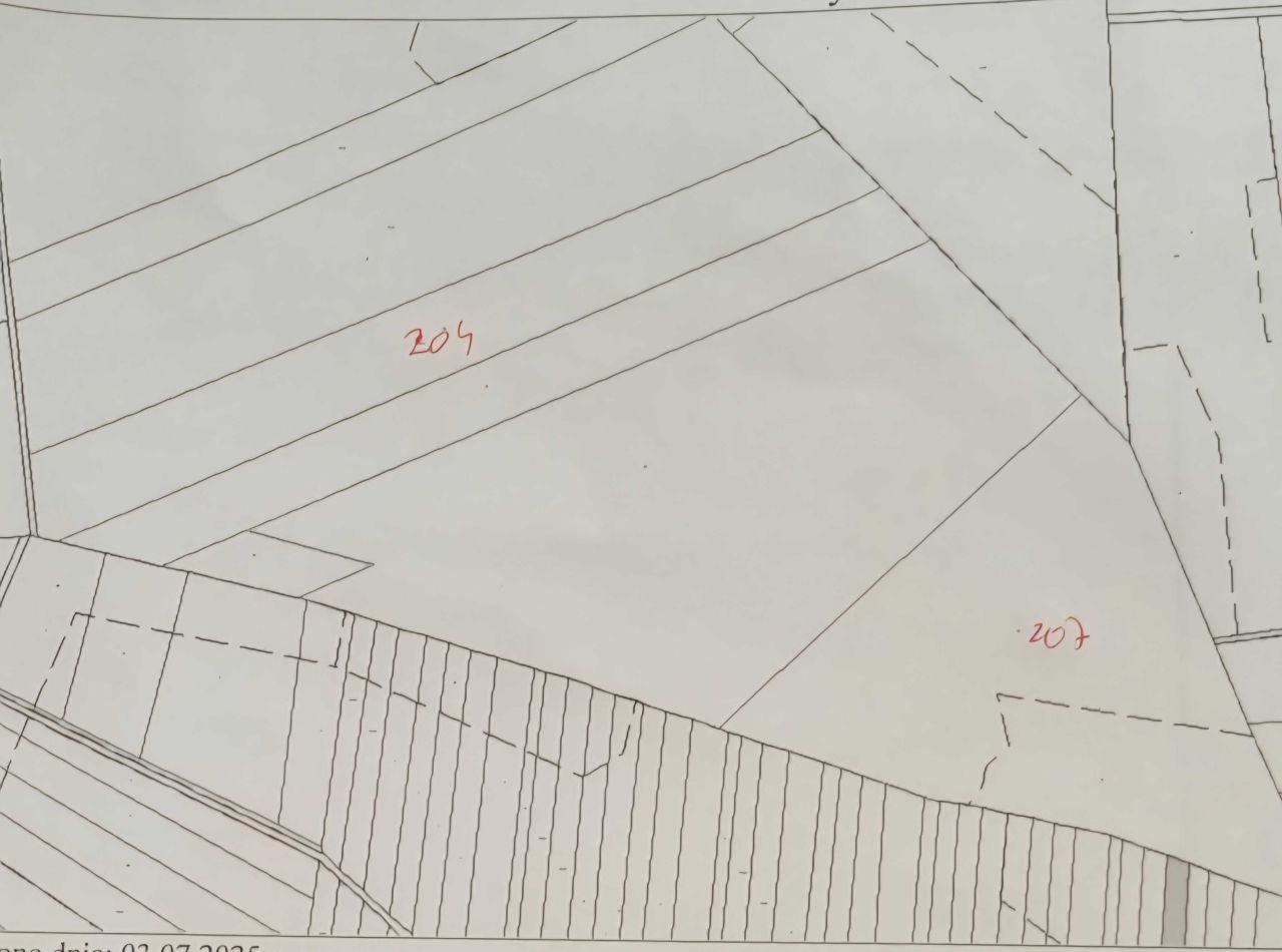 Działka leśna Cisk. Zdjęcie 5