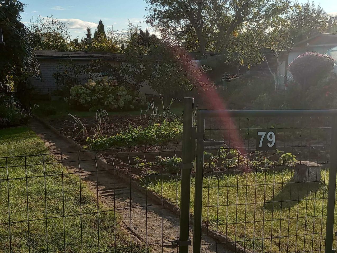 Działka rod Gorzów Wielkopolski. Zdjęcie 6