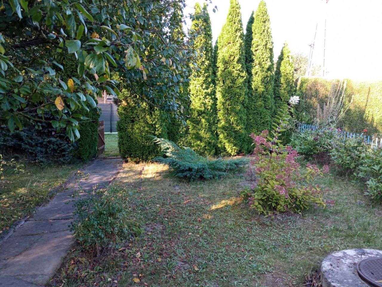 Działka rod Tychy, ul. Zrębowa. Zdjęcie 3