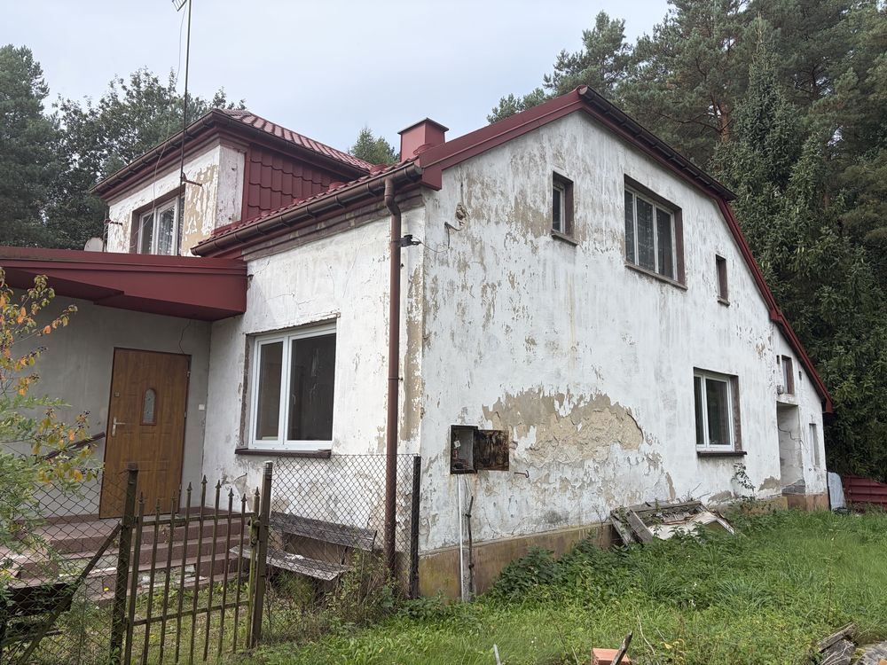 Zdjęcie 3