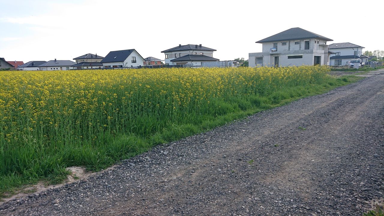 Działka budowlana Łady, ul. Migdałowa. Zdjęcie 9