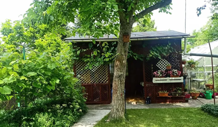 Działka rod Żyrardów, ul. Adama Mickiewicza