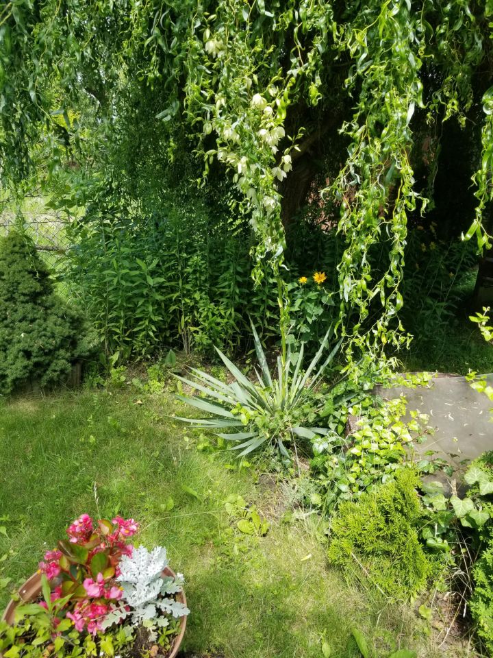 Działka rod Warszawa Ochota, ul. Wirażowa. Zdjęcie 4